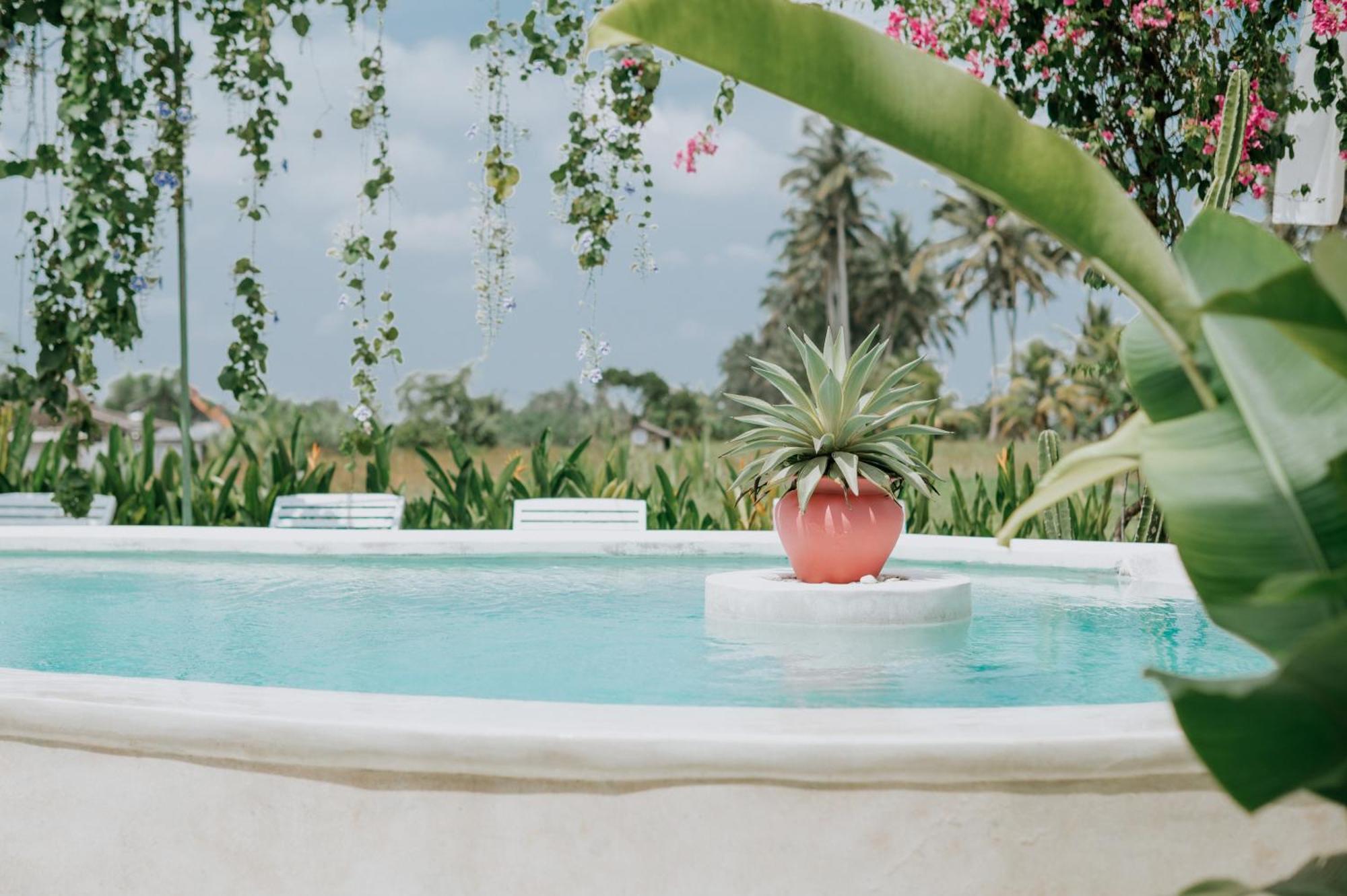 The Rice Joglo Eco-stay Ubud (Bali)