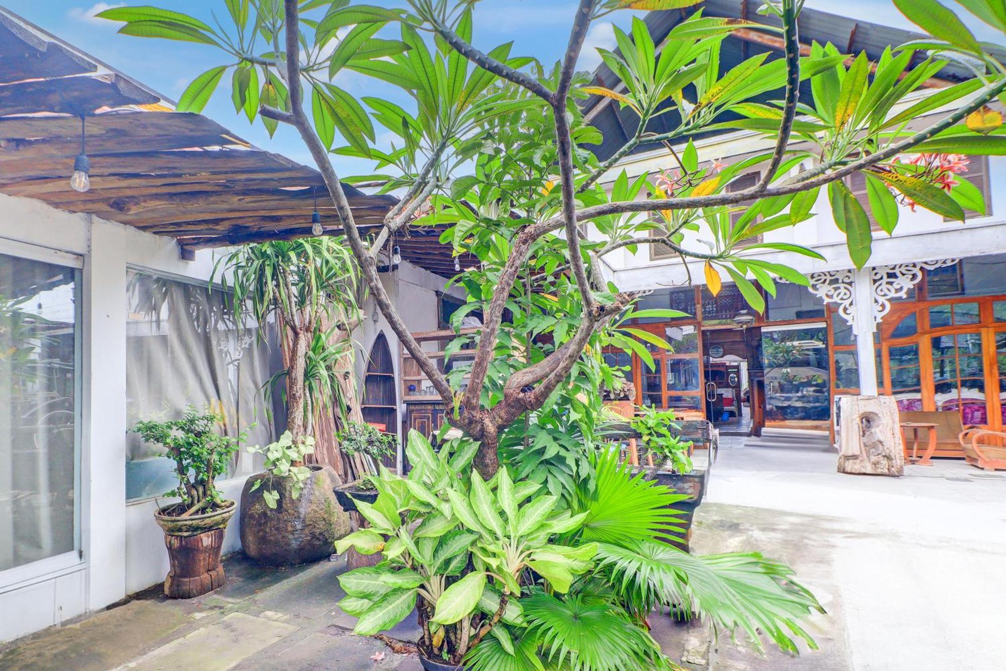 Collection O Near Bali Exotic Marine Park