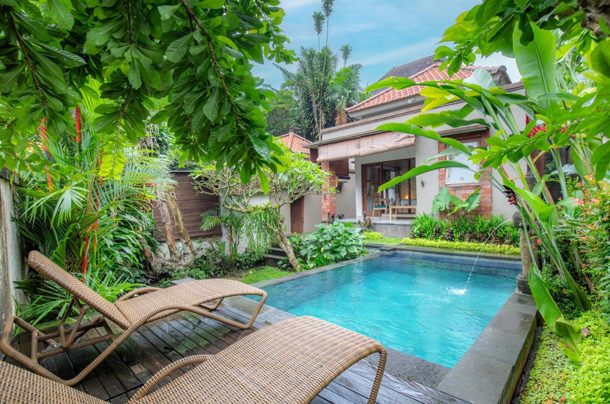 Sari Bamboo