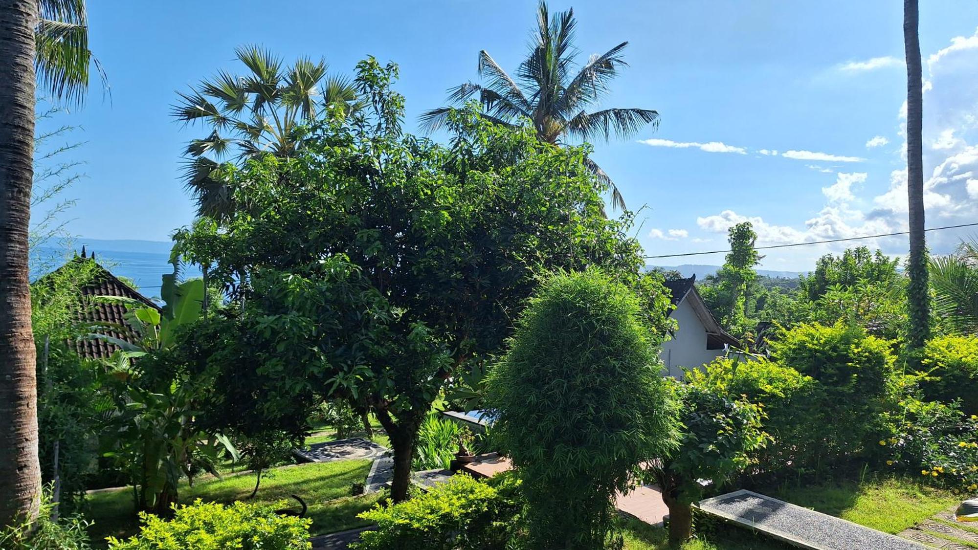 Guest house Frangipani & Restaurant 2*