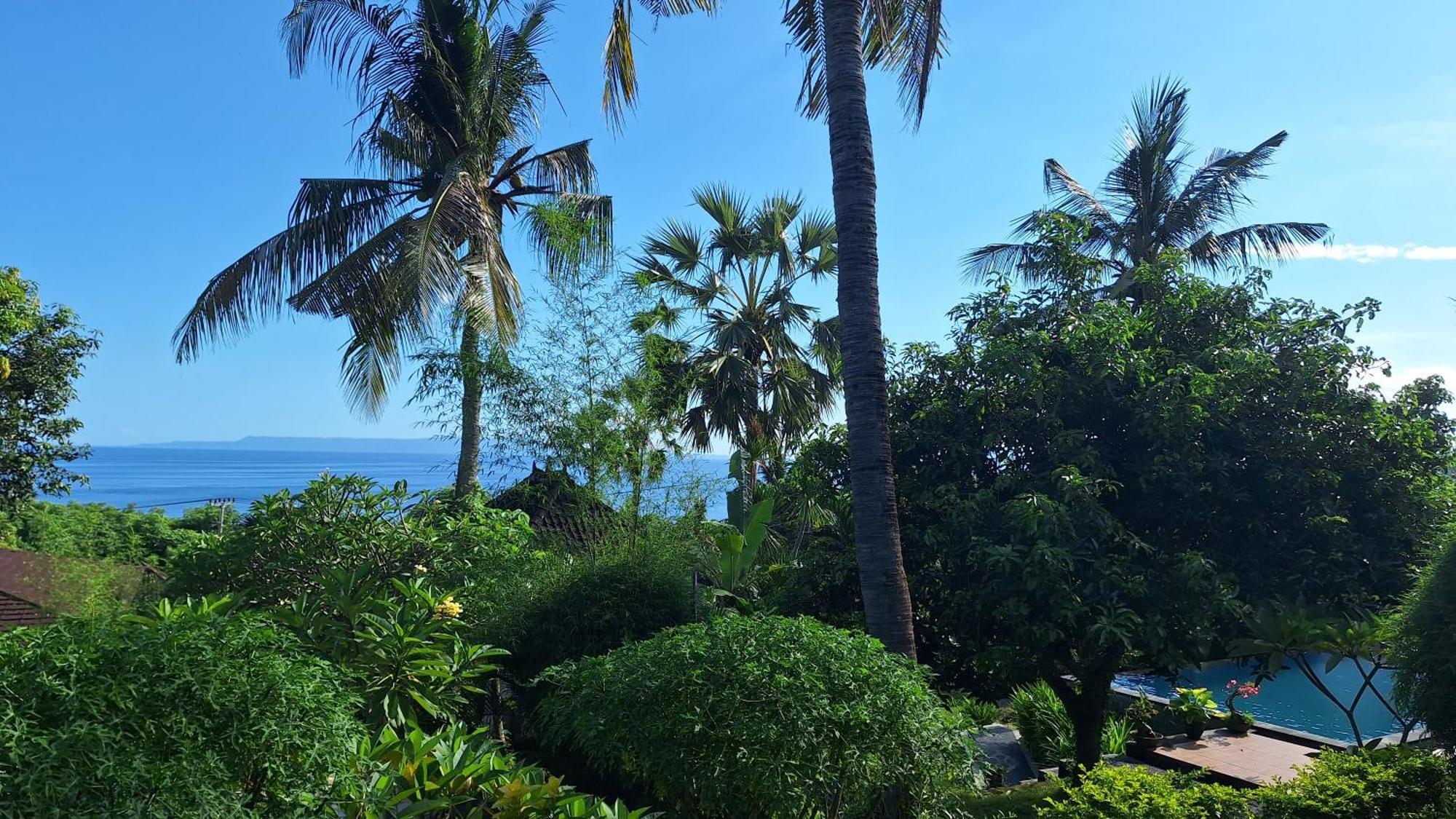 Frangipani & Restaurant Guest house Seraya