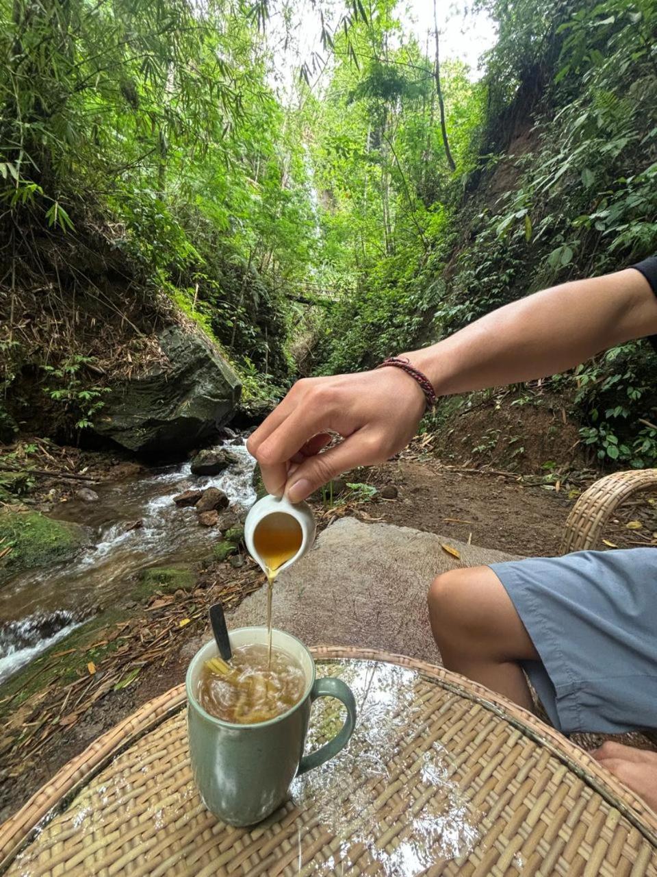 Gumi Ayu Ecostay Inn Munduk (Bali)