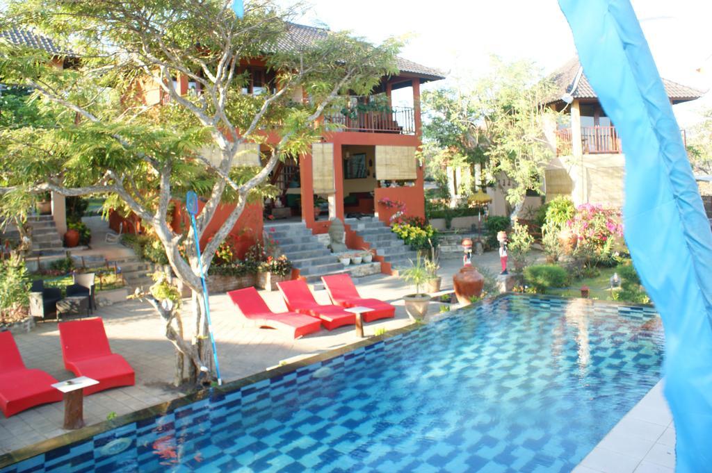 Anjing 2 Nusa Dua (Bali)