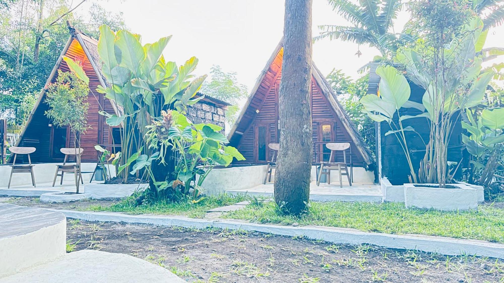 Triangle House And Private Hot Spring Kintamani (Bali)