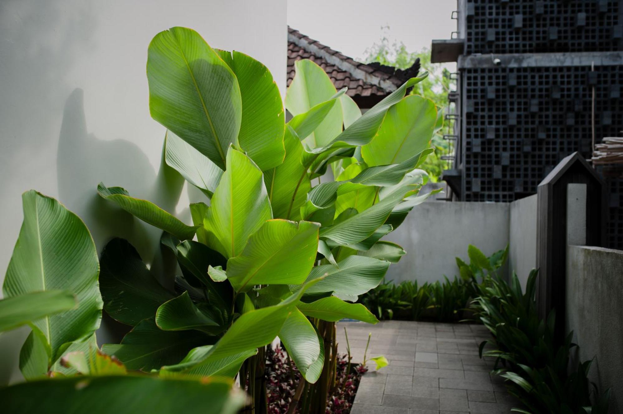 Ecozy Dijiwa Hotel