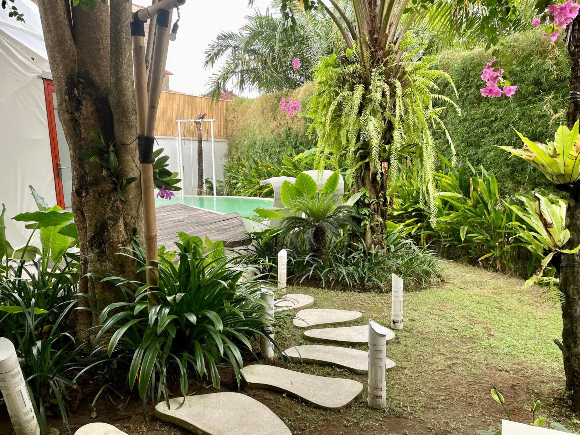 Coconut Galaxy Lodge