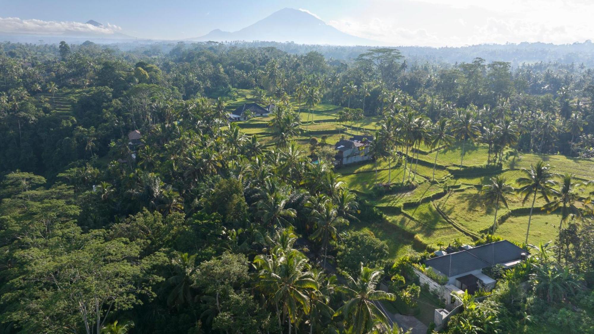 Resort Arvanya Ubud Tegallalang (Bali)