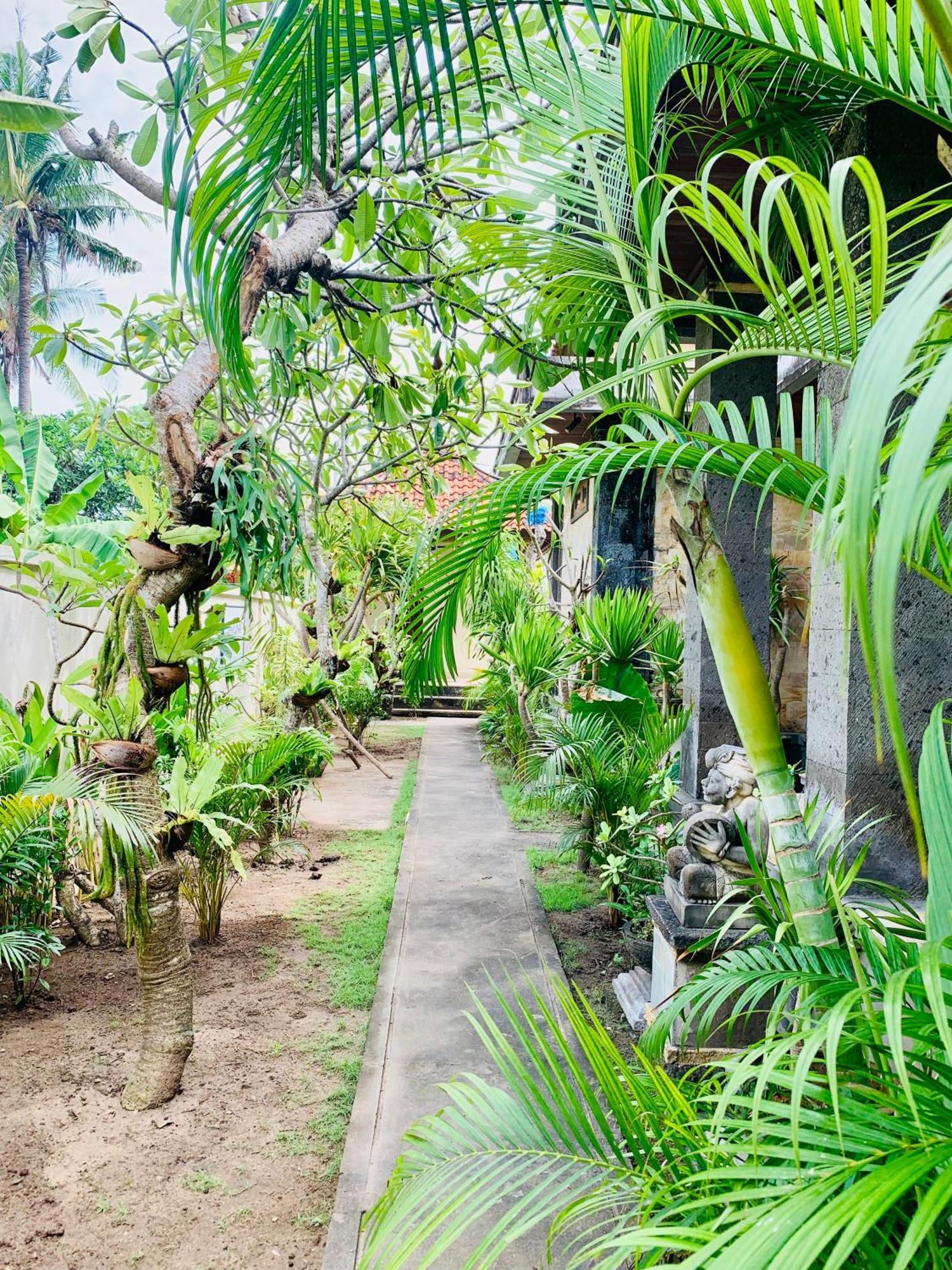 Baruna Garden 2* Nusa Lembongan (Bali)