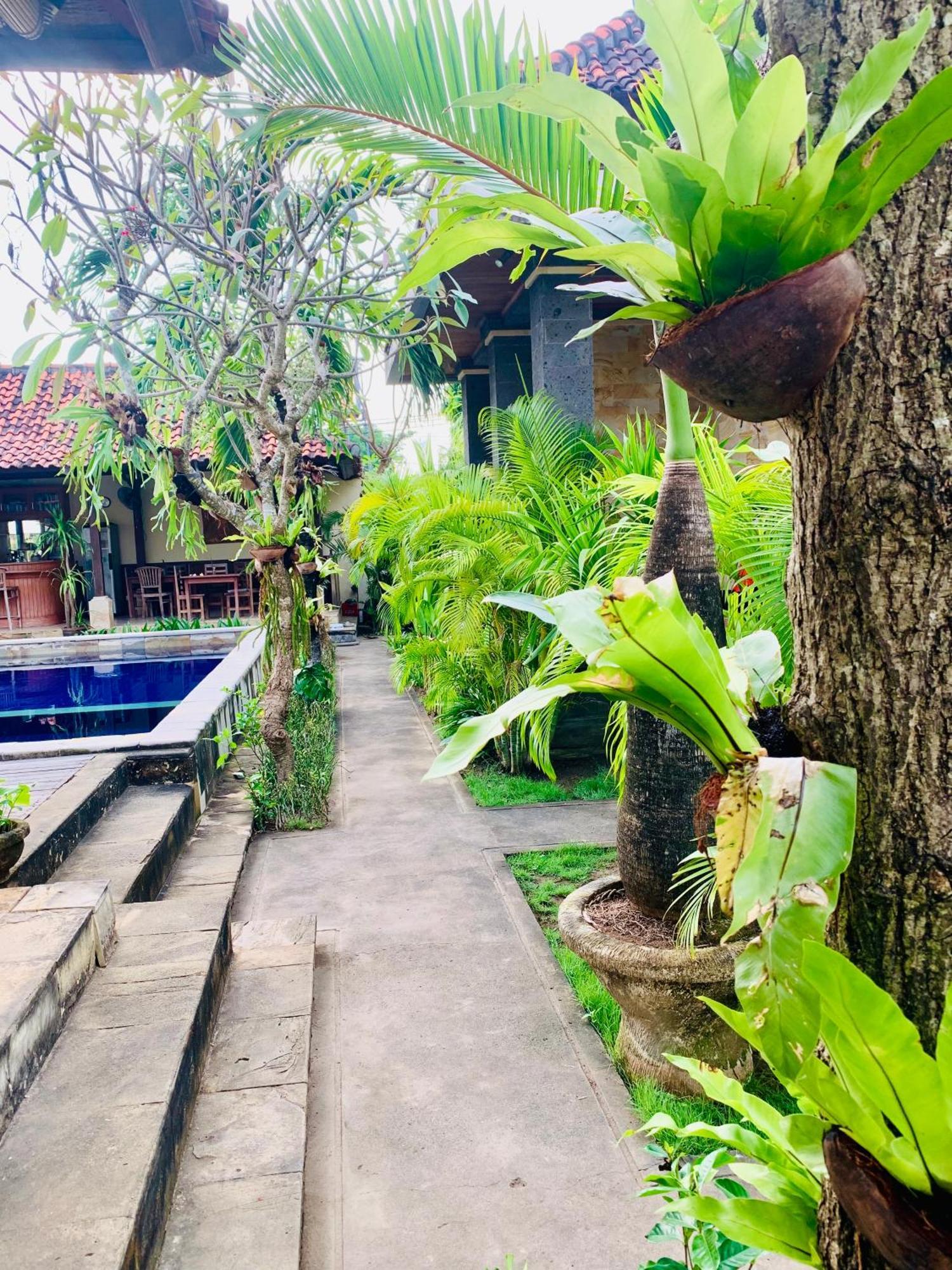 Guest house Baruna Garden