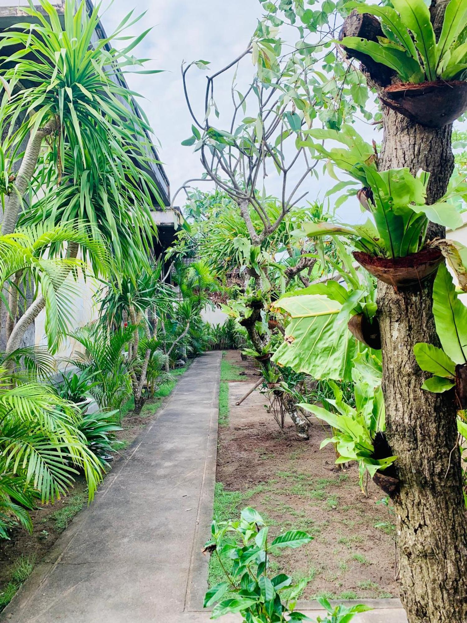 Guest house Baruna Garden 2*
