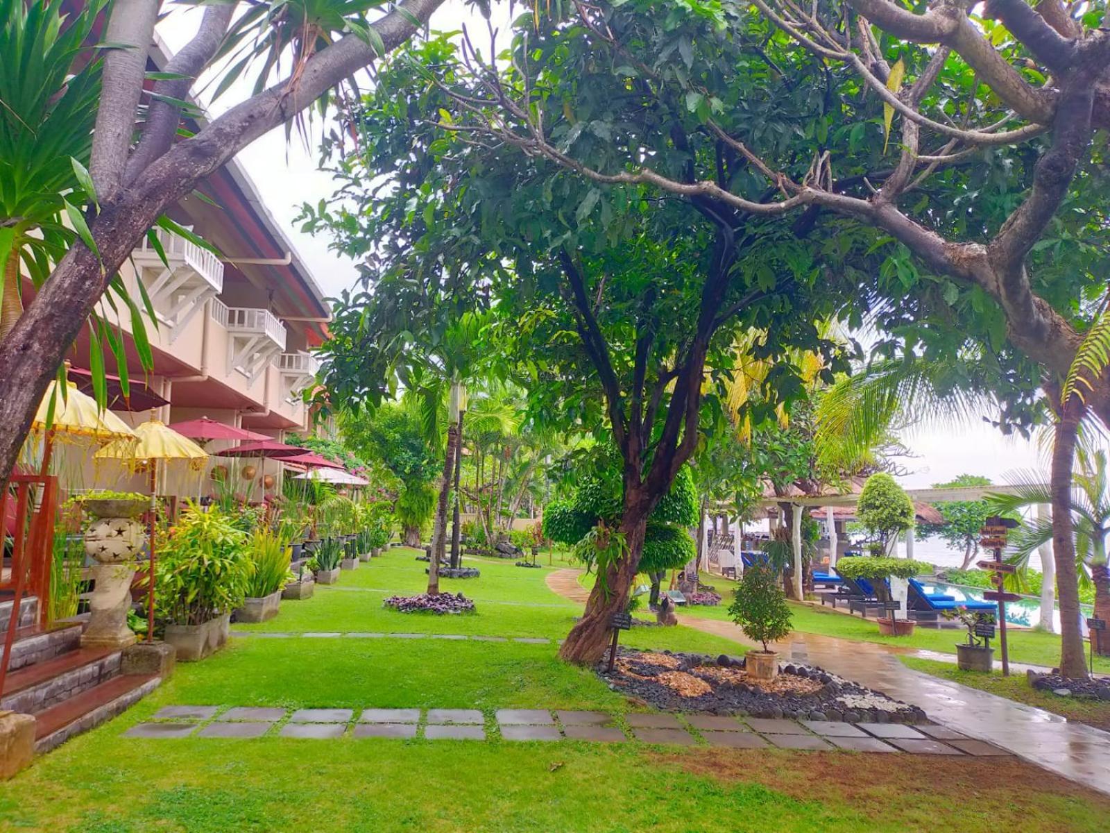 Tauch Terminal & Tulamben (Bali)