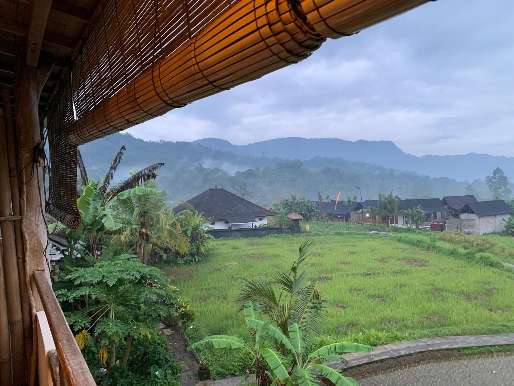 Cozy Bliss Sidemen (Bali)