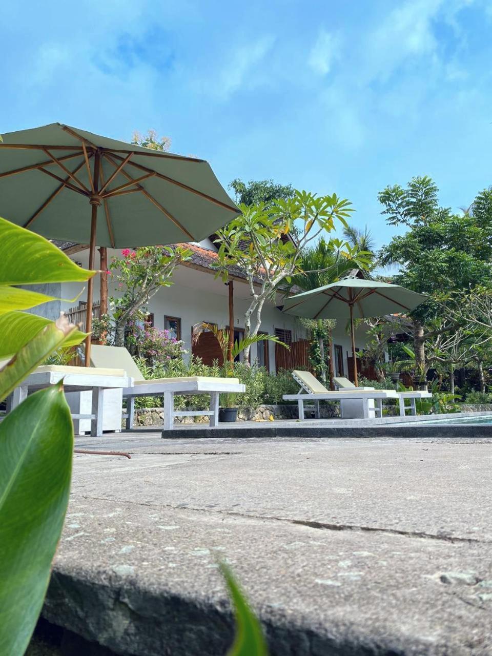 Guest house Sunrise Hill View Sakti