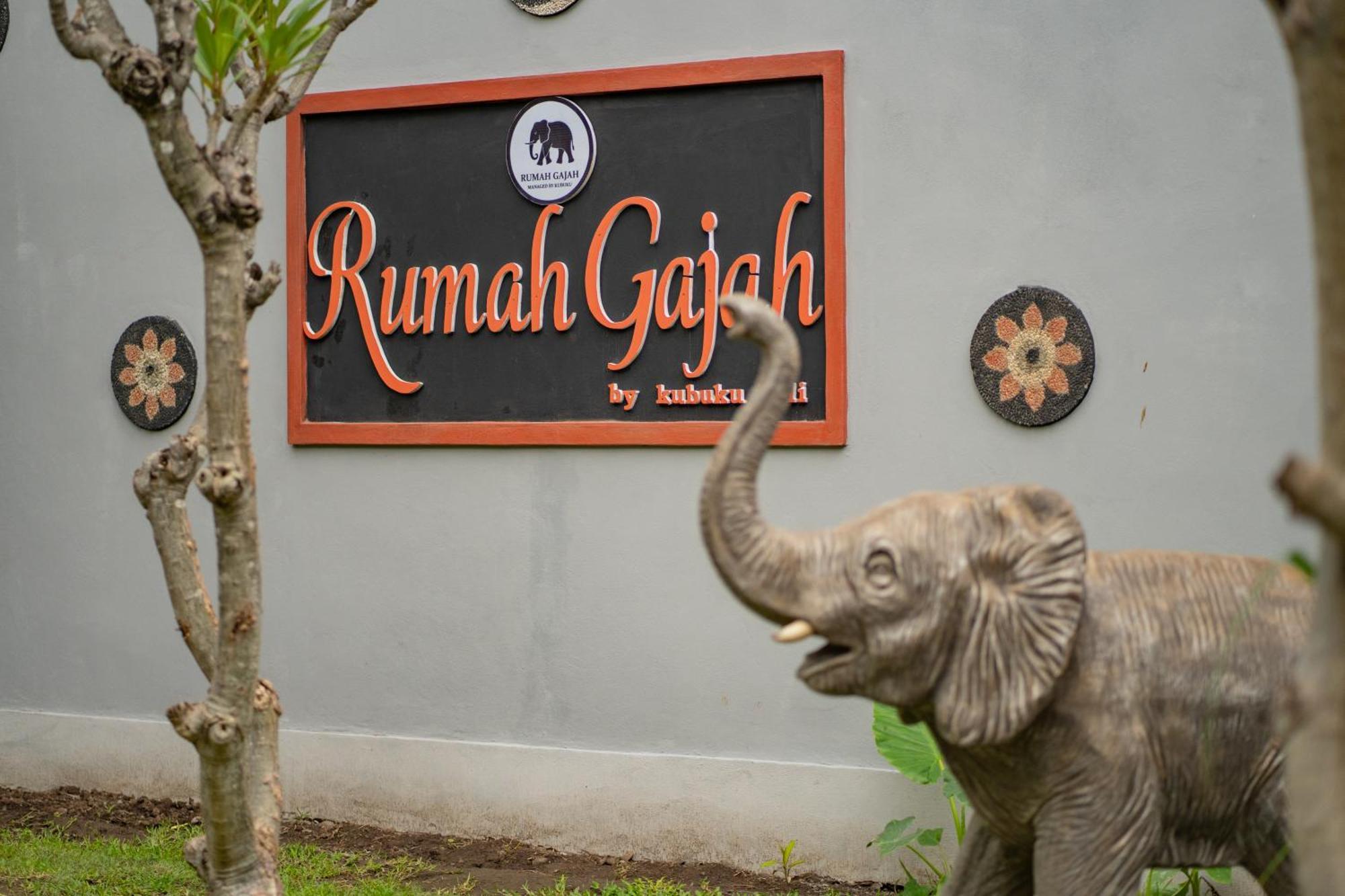 Hotel Kubuku Eco Dive And Yoga Pemuteran (Bali)