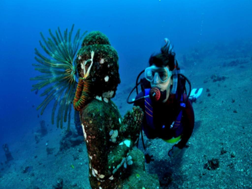Wreck Divers & Restaurant Resort 3*