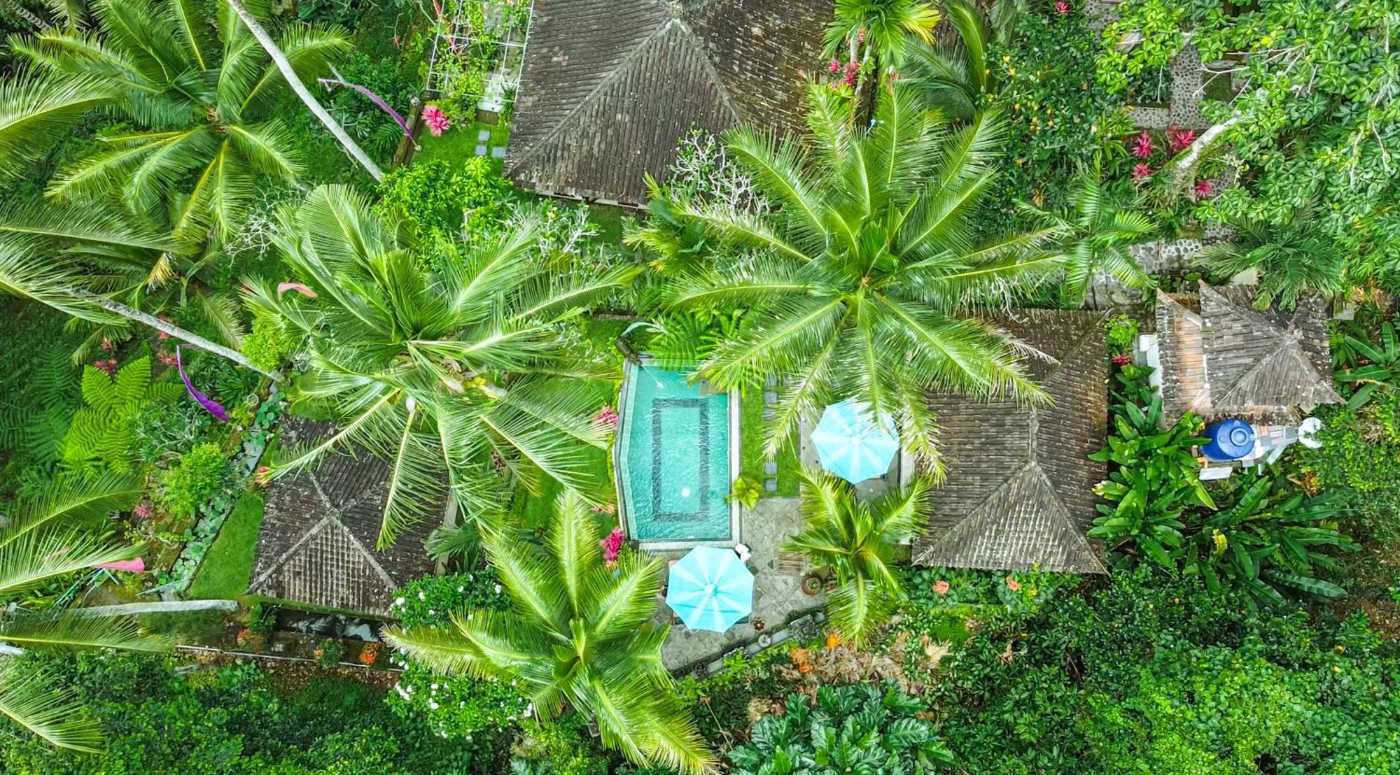 The Mahogany Ubud * Tegallalang (Bali)