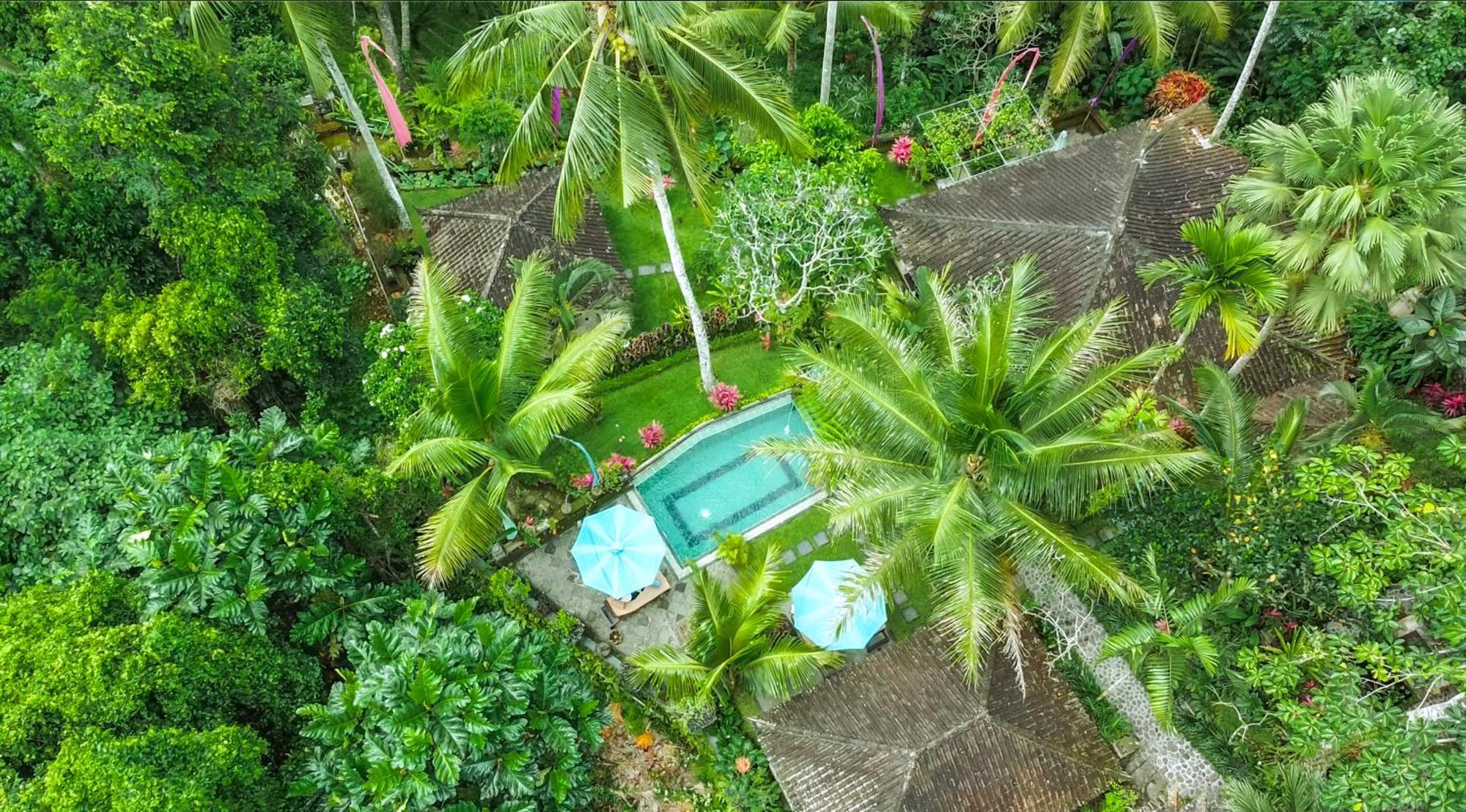 The Mahogany Ubud Tegallalang (Bali)
