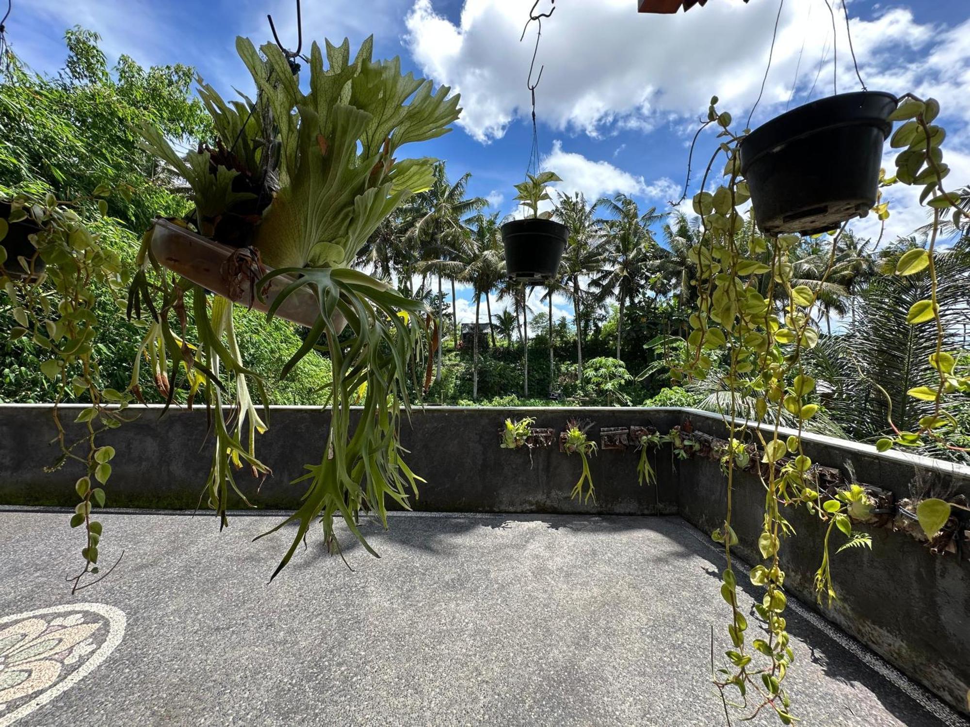 Tagel Karsa House * Ubud (Bali)
