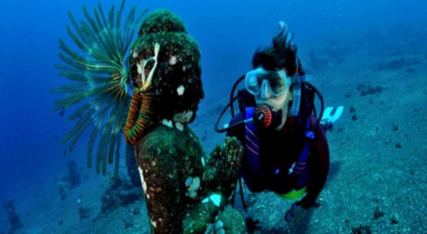 Wreck Divers & Restaurant 3*