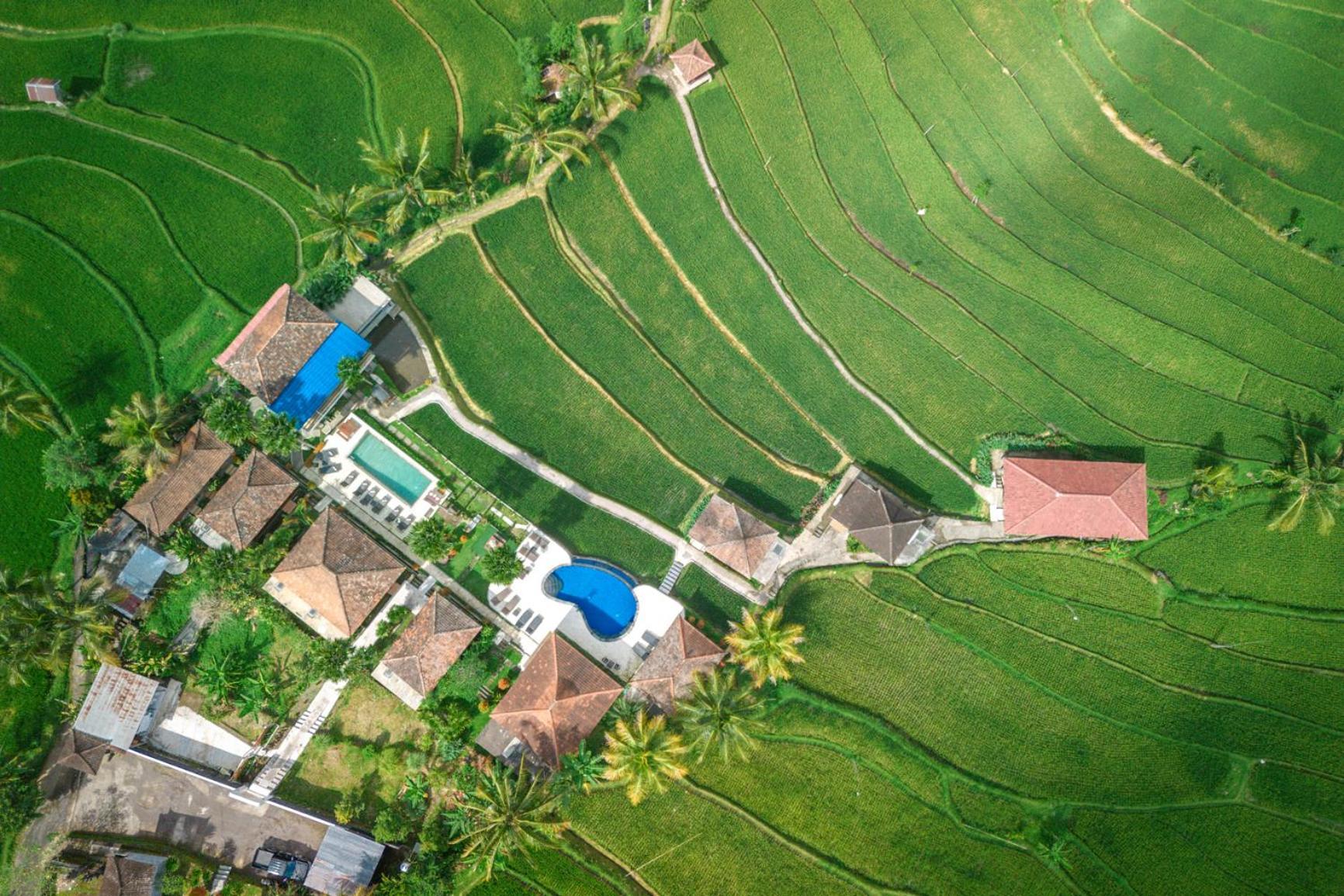 Bed & Breakfast Sande Munduk (Bali)