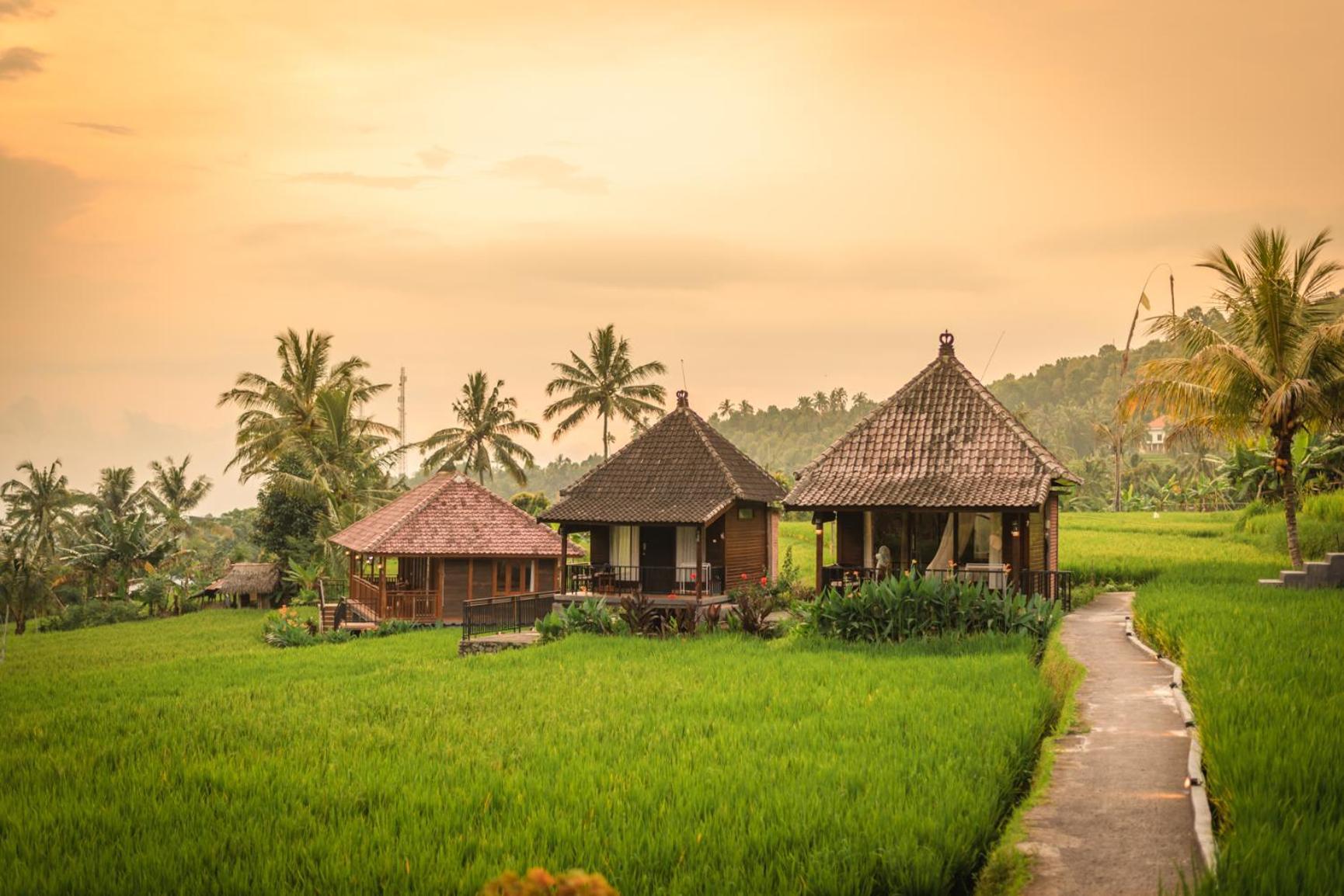Sande 3* Munduk (Bali)