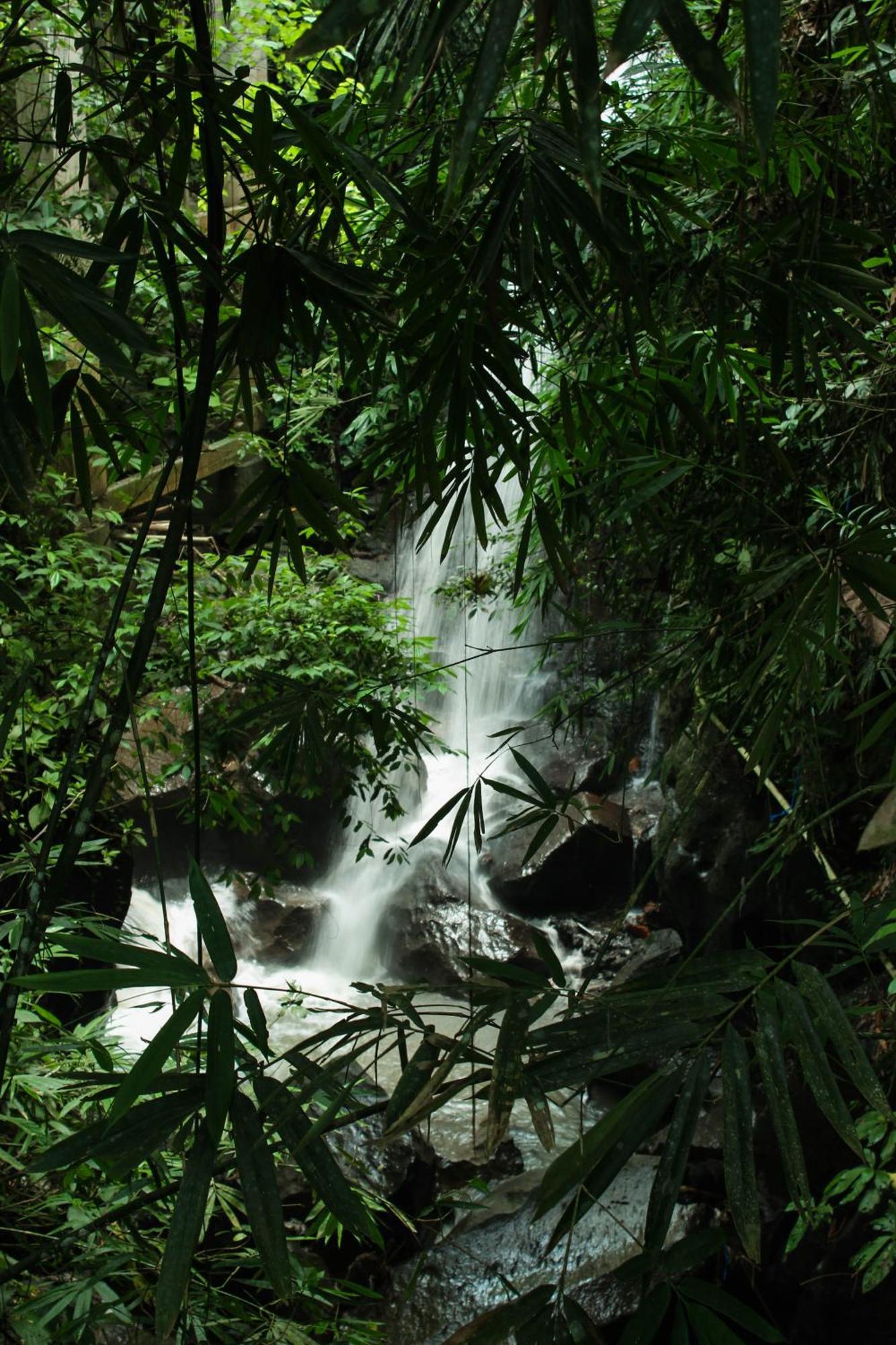 Villa Ubud Hills & *