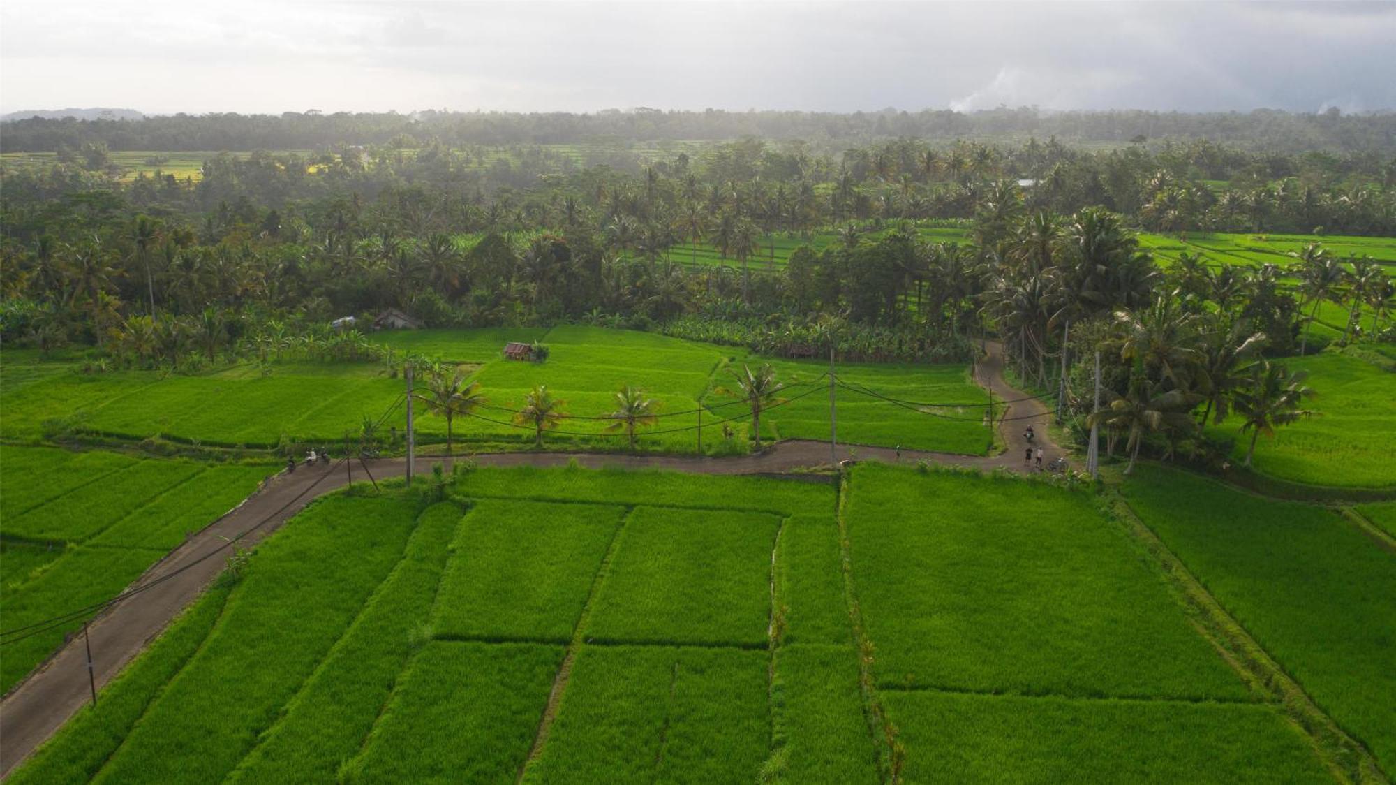 Resort Alila Ubud 5*