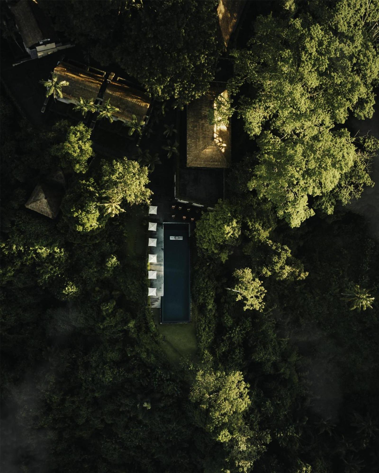Resort Alila Ubud 5*
