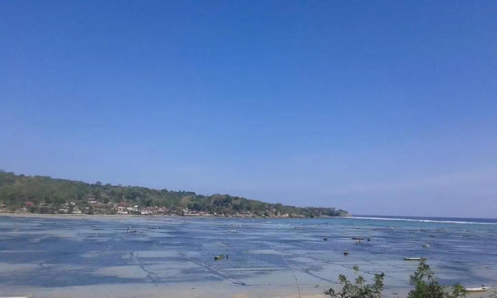 Kusuma Abiakta Sea Side Lembongan 2*