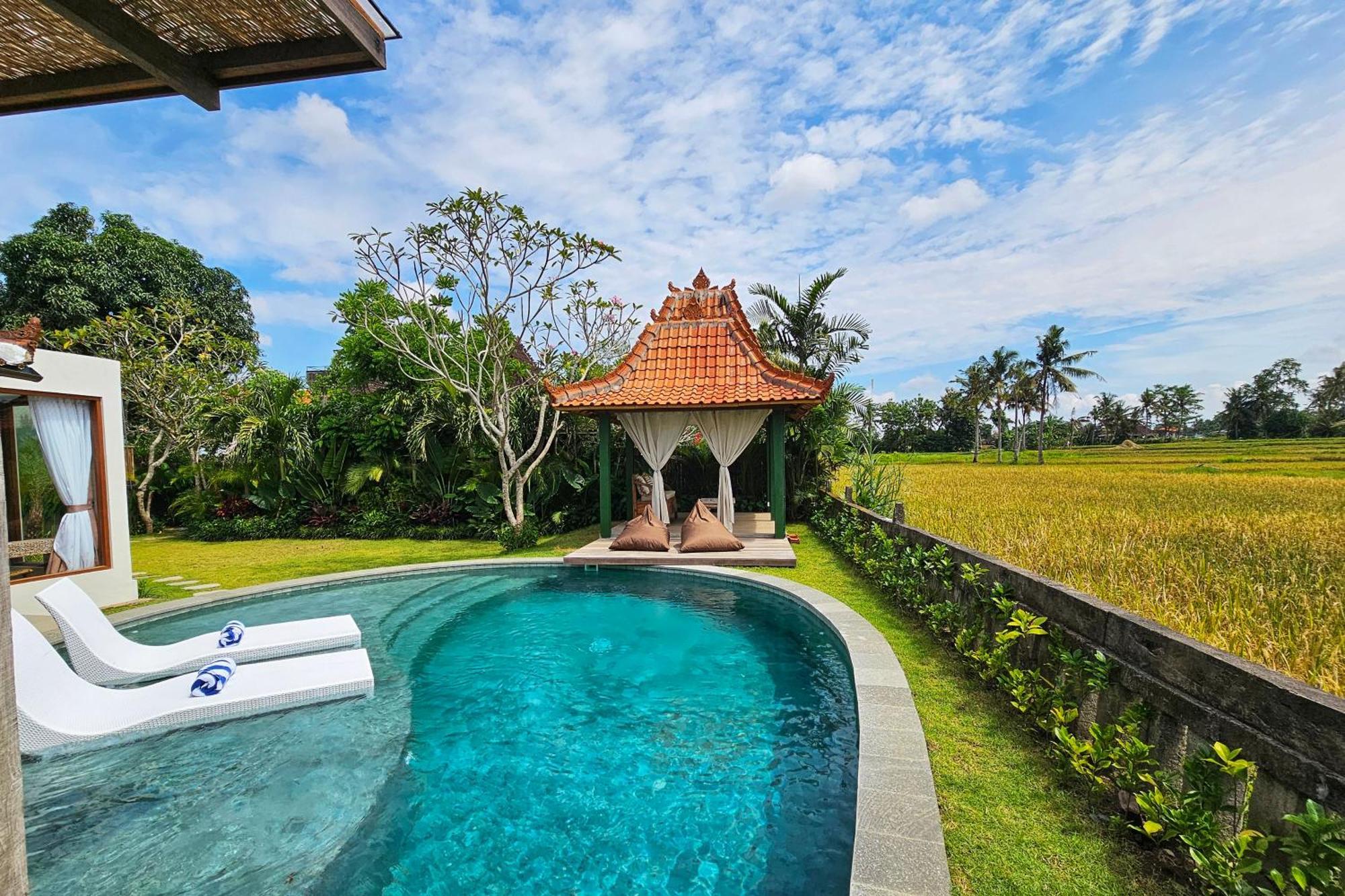 Diyara - 6000 Sq Ft Private - Stunning Rice Field View - Big Pool & Garden Villa Ubud (Bali)