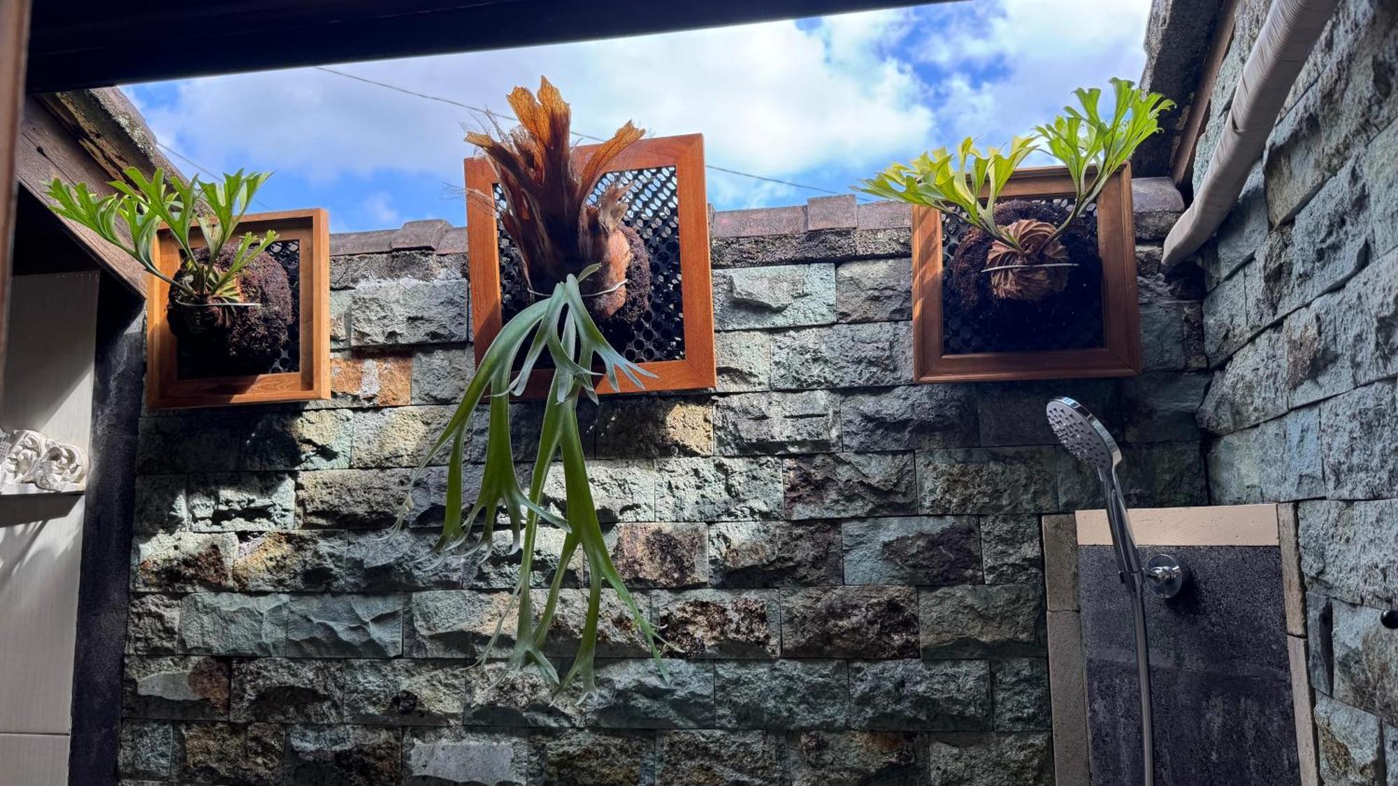Wisma tamu Bale Bali Ubud (Bali)