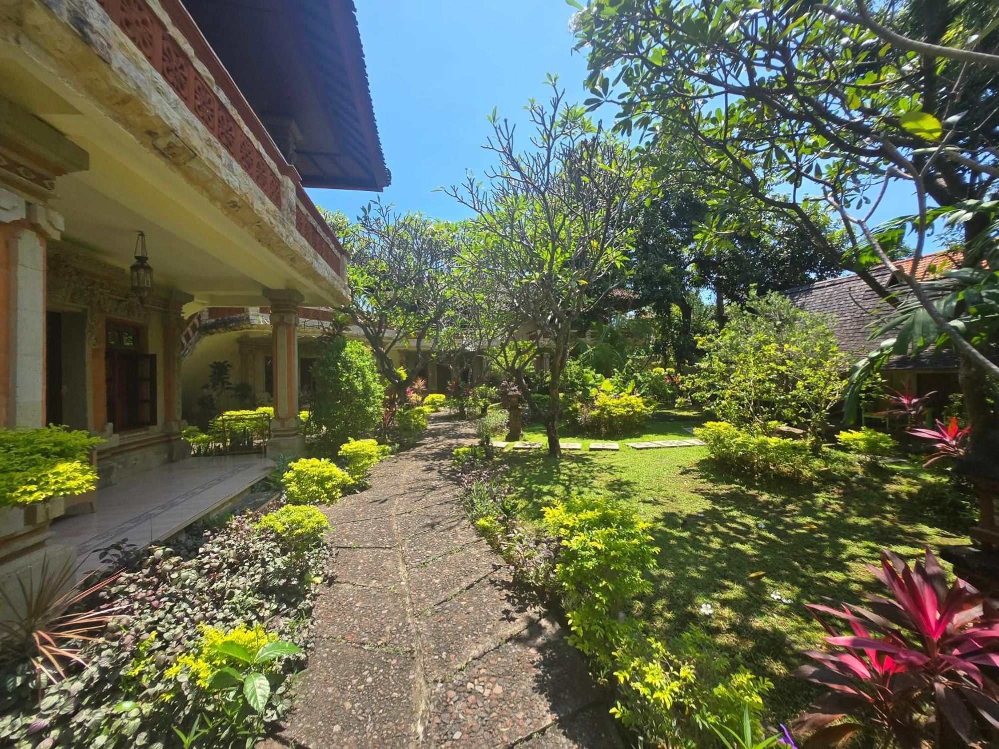 Rambutan Lovina (Bali)