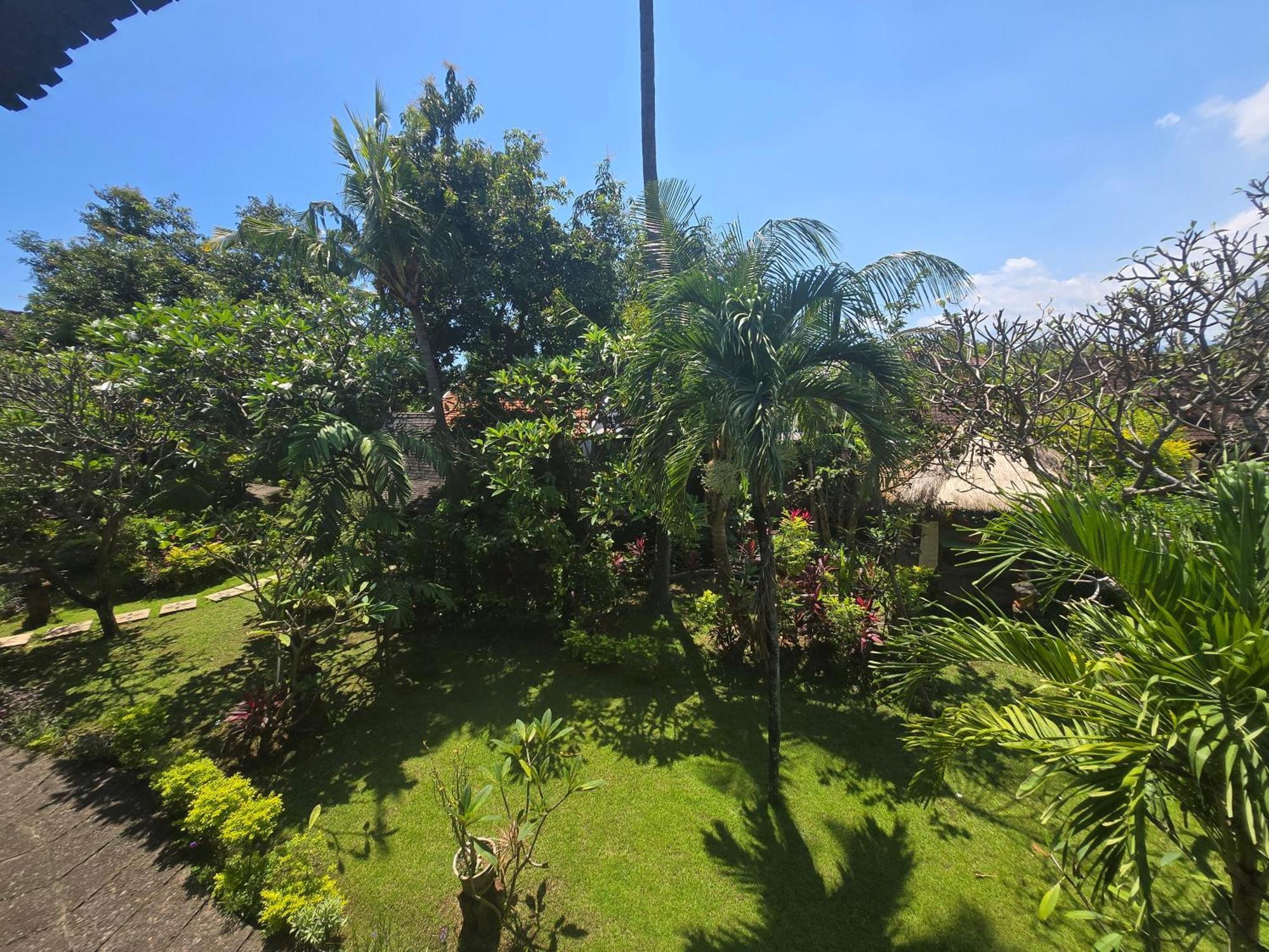 Rambutan