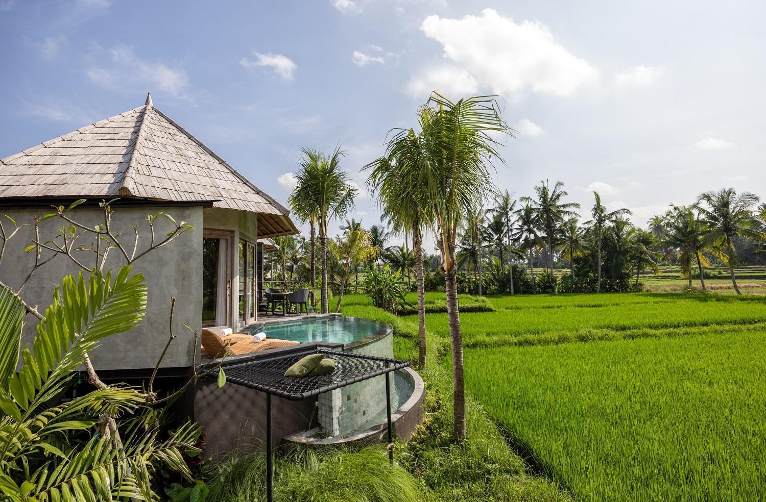 Thewakanda A Pramana Experience Ubud (Bali)
