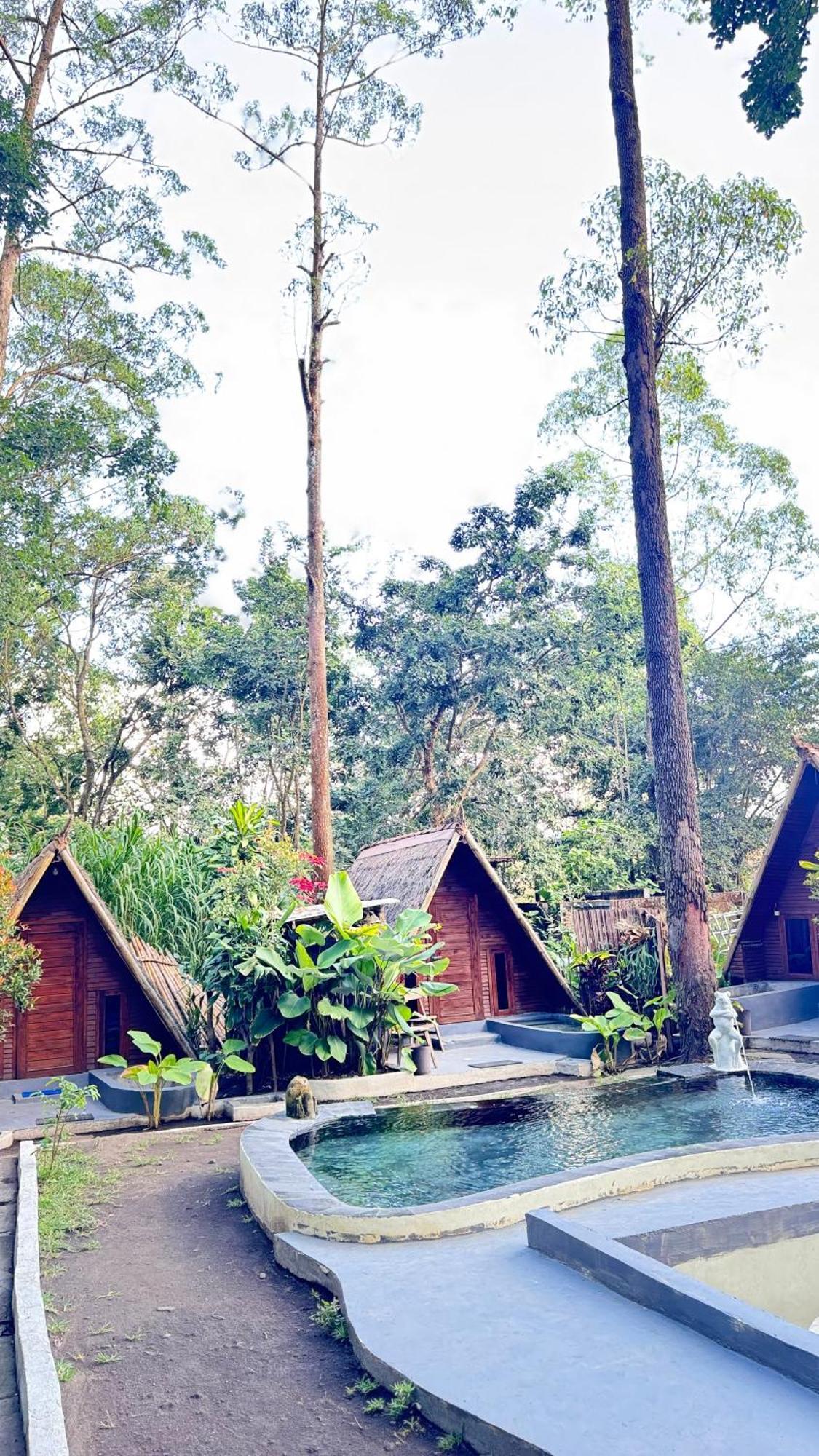 Homestay Triangle House And Private Hot Spring *