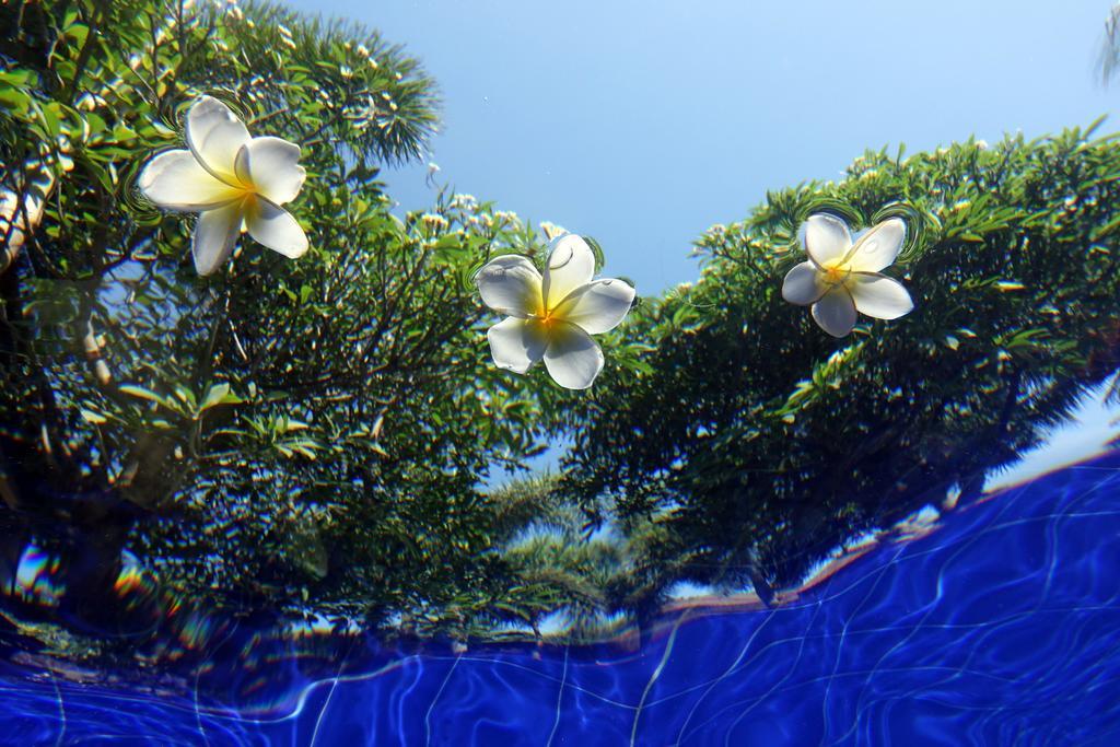 Guest house Liberty Dive Tulamben (Bali)