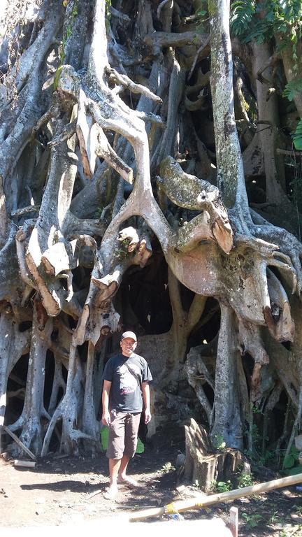 Edy * Munduk (Bali)