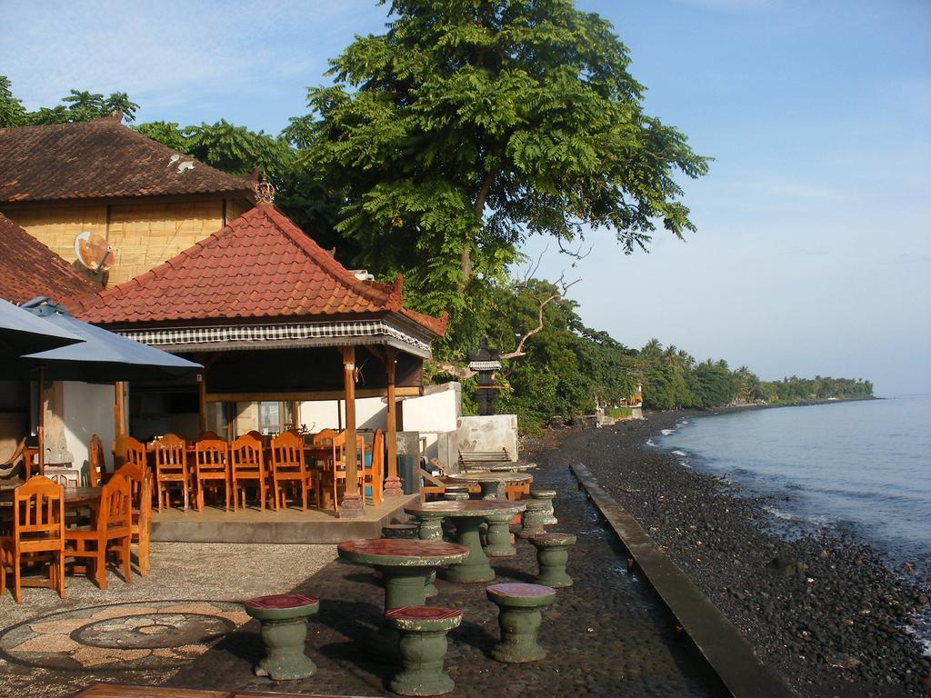 Paradise Palm And Dive Center