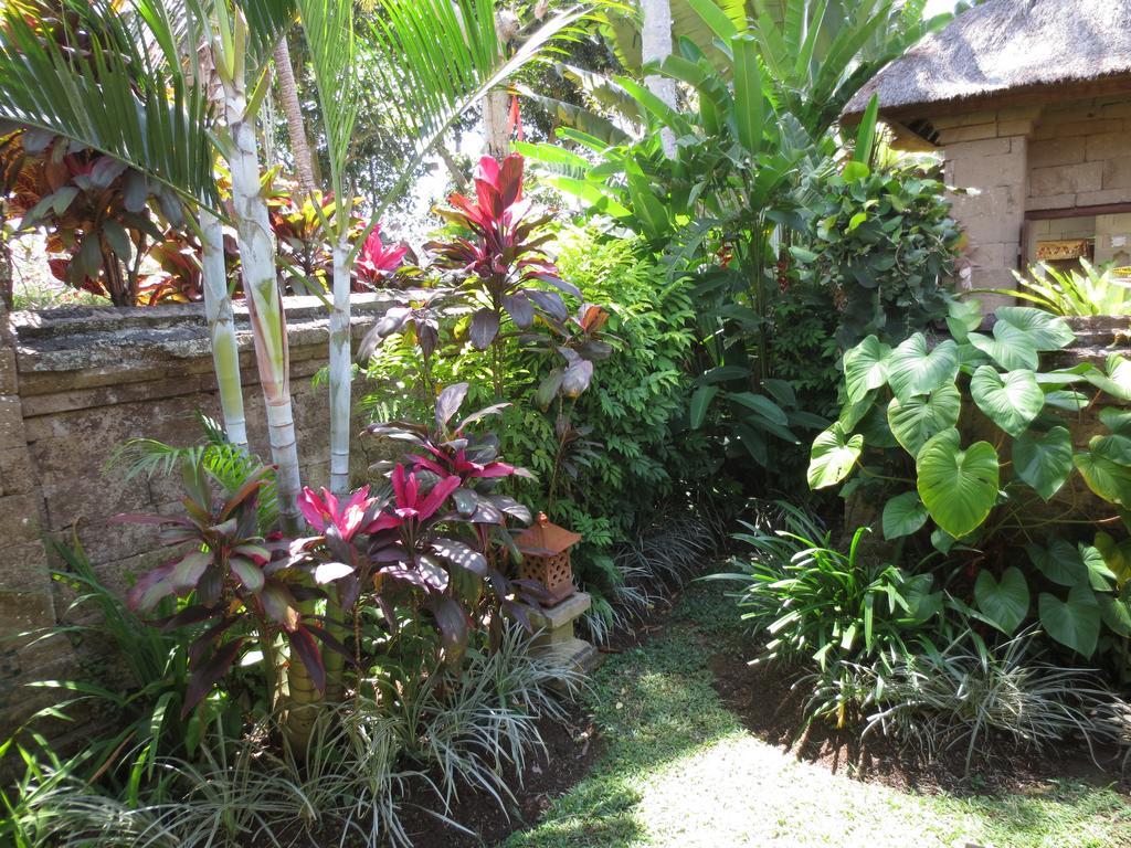 Bumi 3* Ubud (Bali)