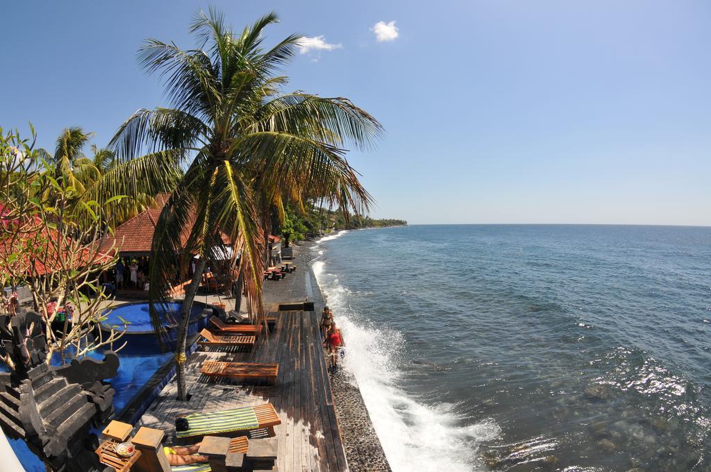 Holiday park Paradise Palm And Dive Center 4*
