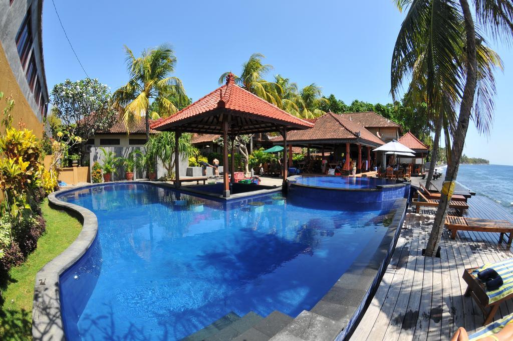 Paradise Palm And Dive Center
