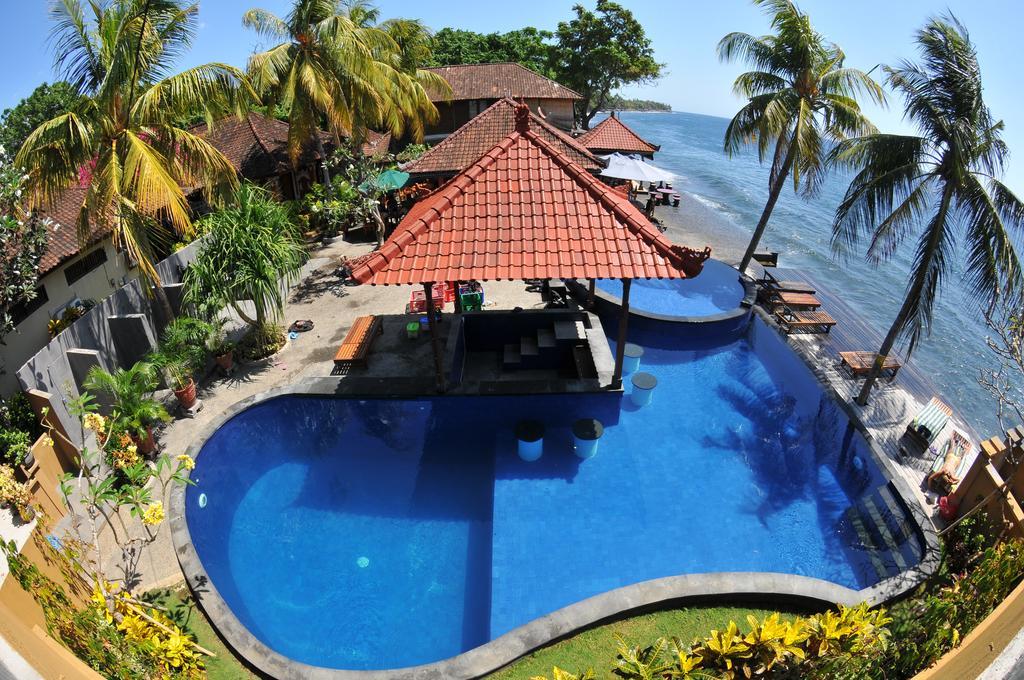 Paradise Palm And Dive Center Holiday park