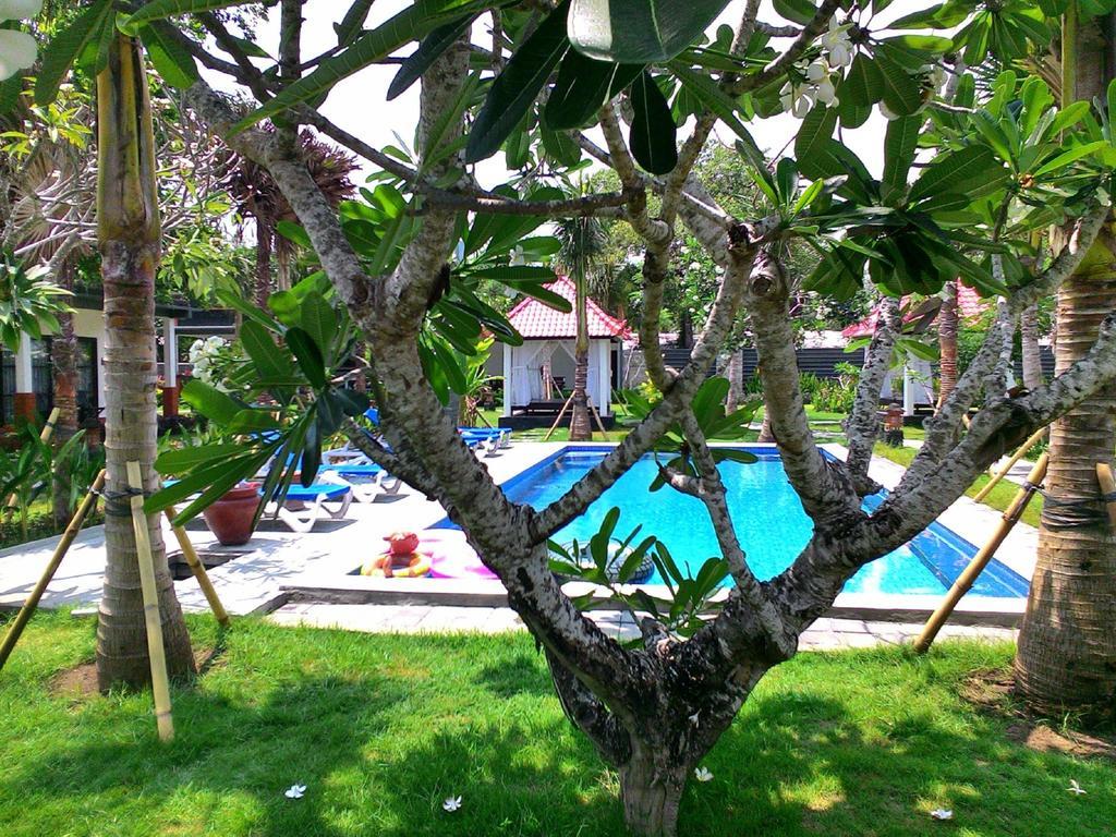 D'mell Bali