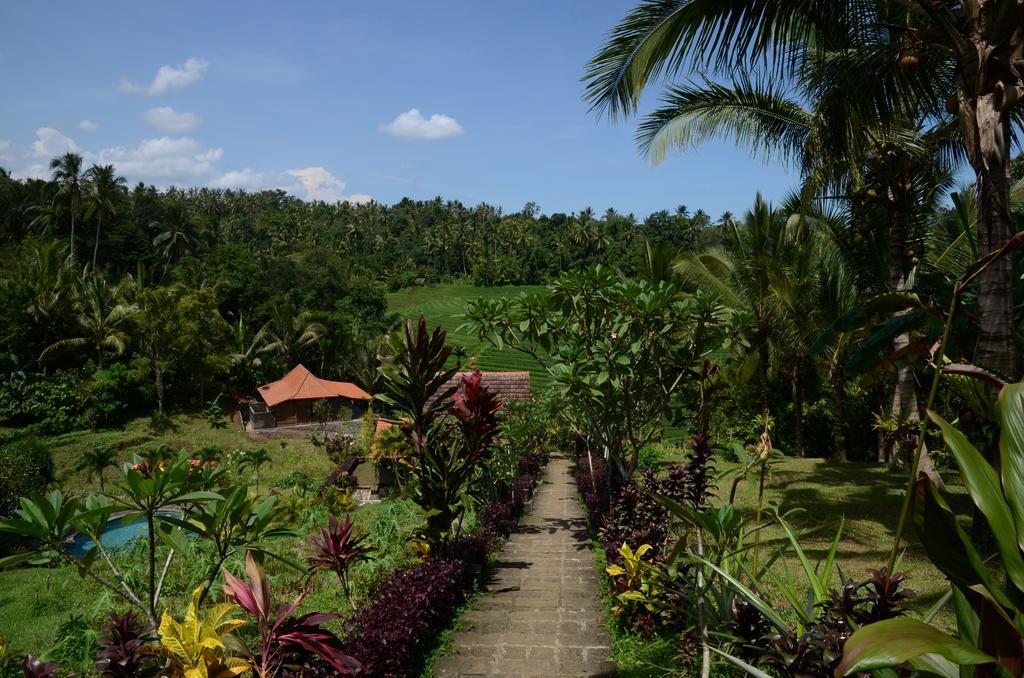 Bali Lush 3*