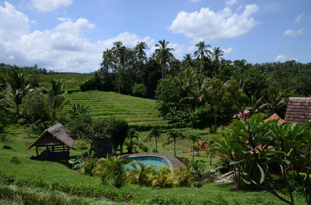 Bali Lush Selemadeg (Bali)