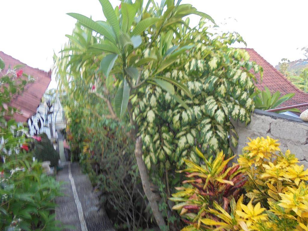 Homestay Titi Sedana *