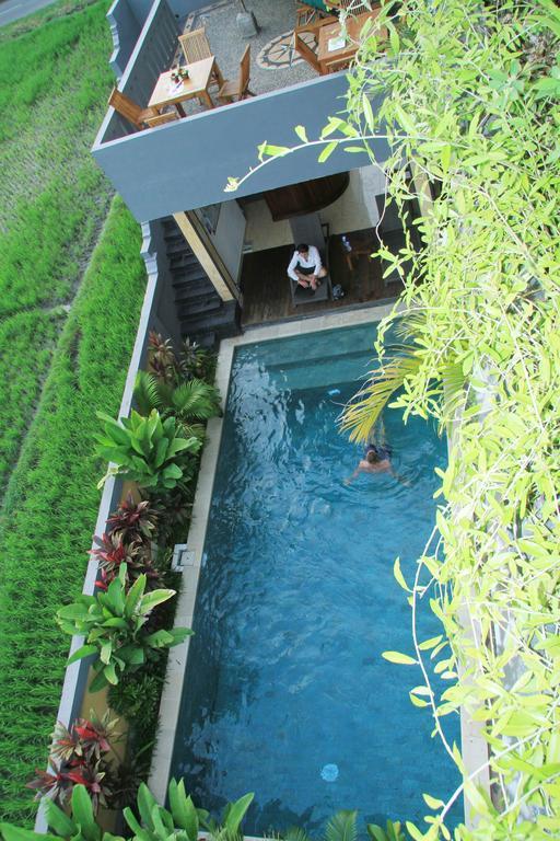 Bima Sakti House Guest house