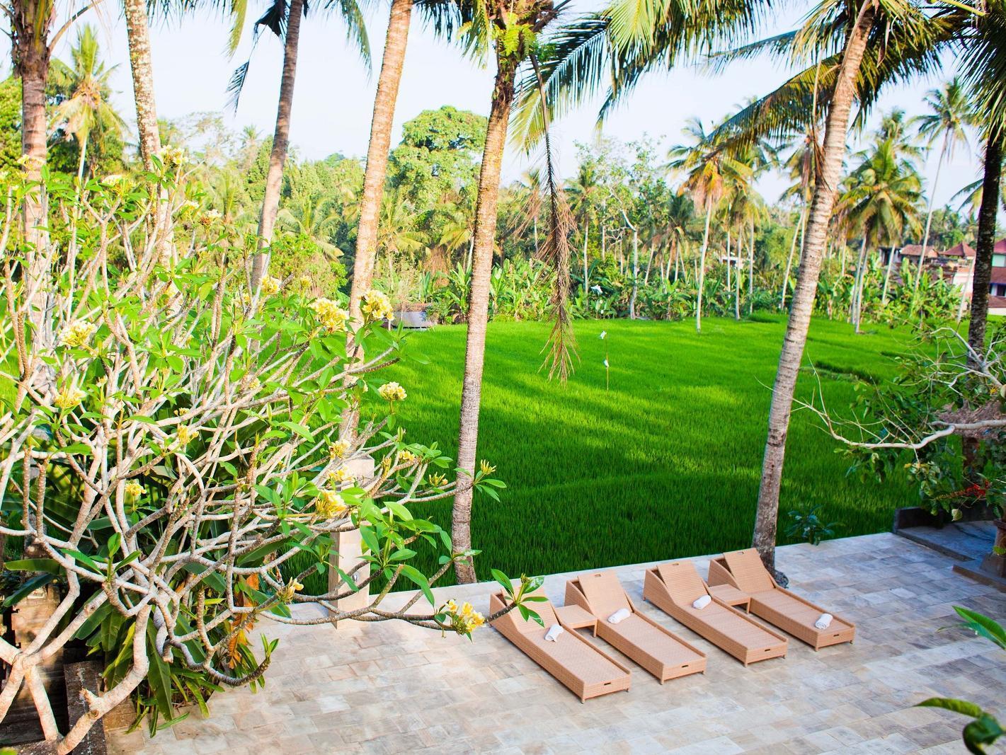 Indigo Tree Resort 3*