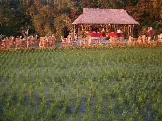 Hotel Puri Sunny Munduk (Bali)