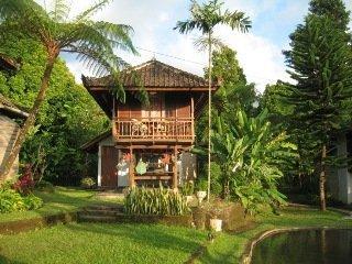 Puri Sunny 2* Munduk (Bali)